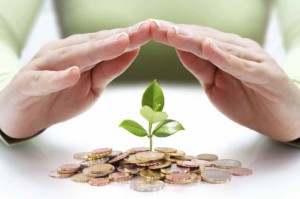 قواعد وضوابط الاستثمار في المنظمات غير الربحية